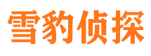 江岸市婚外情调查